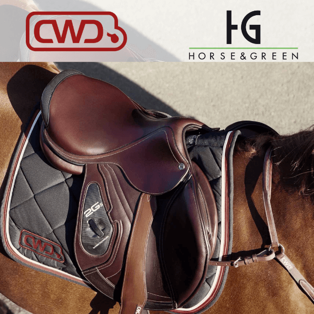 CWD - HORSE & GREEN